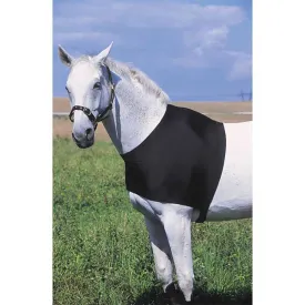 equitheme-protege-poitrine