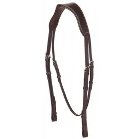 eric-thomas-testera-anatomical