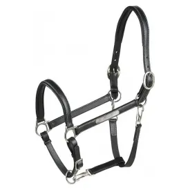 eric-thomas-grooming-leather-halfter