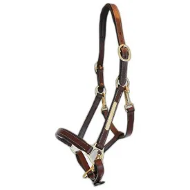 eric-thomas-grooming-leather-halster