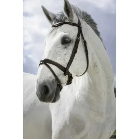norton-equestrian-combine-grimmor
