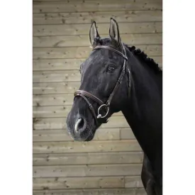 norton-equestrian-cabecada-fin