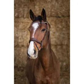 norton-equestrian-cabrestro-miss