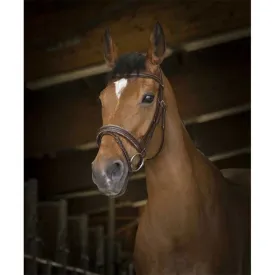 norton-equestrian-rock-halfter
