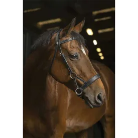 norton-equestrian-side-pull-comfort-halfter