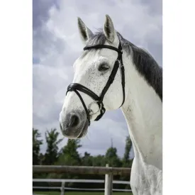 norton-equestrian-soft-halfter