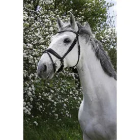 norton-equestrian-strass-halfter