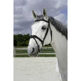 norton-equestrian-cabrestro-vague