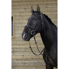 riding-world-cabrestro-combine