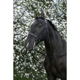 riding-world-cabecada-logo