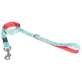 freedog-blue-ginger-cookie-狗绳