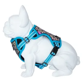 freedog-arnes-para-perros-boreal