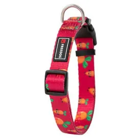 freedog-collare-per-cani-carrot