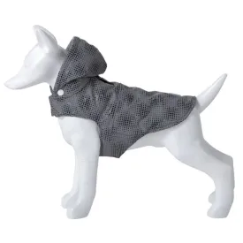 freedog-flash-개-재킷