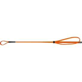 whip-go-채찍
