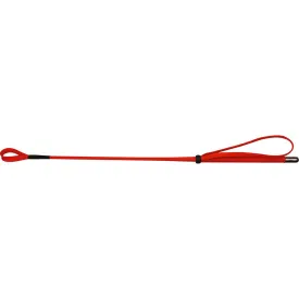 whip-go-채찍