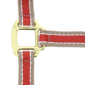 equitheme-polyfun-굴레