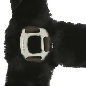 equitheme-teddy-halfter