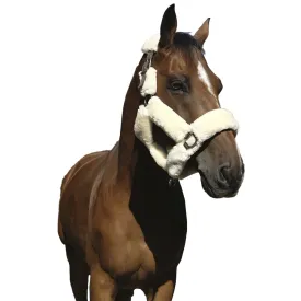 equitheme-teddy-halfter