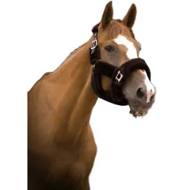 equitheme-teddy-riimu