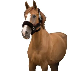 equitheme-teddy-halfter