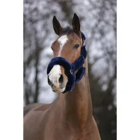 equitheme-teddy-halfter