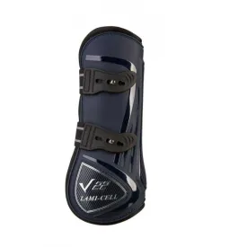 lami-cell-bottes-de-tendon-v22