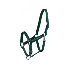 lami-cell-venus-halfter