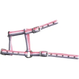 norton-equestrian-adjustable-halfter