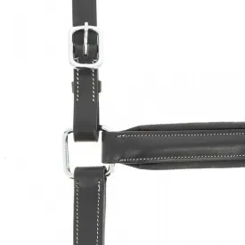 norton-equestrian-cabrestro-anatomical