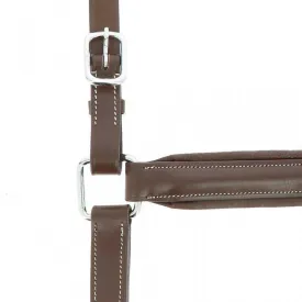 norton-equestrian-cabrestro-anatomical