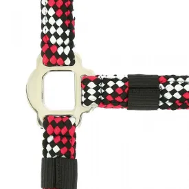 norton-equestrian-cavezza-e-lunghina-braided
