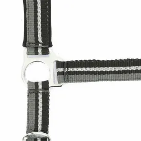norton-equestrian-cabecada-e-guia-brillant