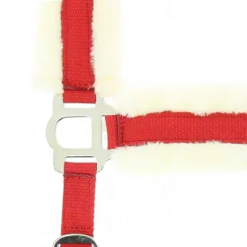 norton-equestrian-capezza-comfort-double