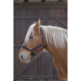 norton-equestrian-cabrestro-draft-horse