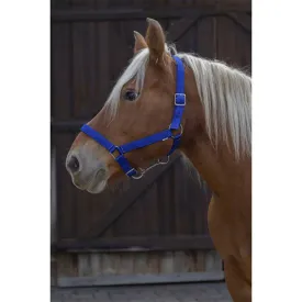 norton-equestrian-cabrestro-draft-horse