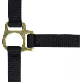 norton-equestrian-cabecada-e-guia