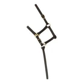 norton-equestrian-cabecada-e-guia