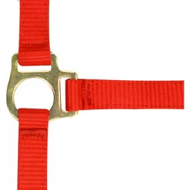 norton-equestrian-cabecada-e-guia