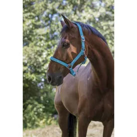 norton-equestrian-cabrestro-lined-double