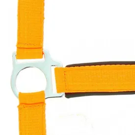 norton-equestrian-lined-double-grimmor