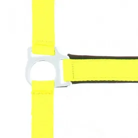 norton-equestrian-lined-double-halfter