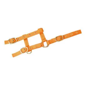 norton-equestrian-mini-adjustable-grime