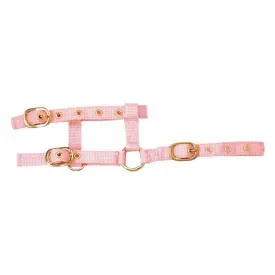 norton-equestrian-mini-adjustable-riimu