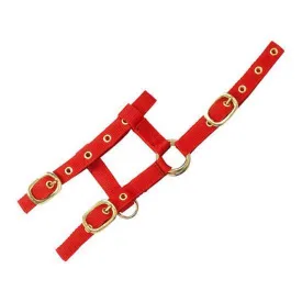 norton-equestrian-mini-adjustable-halfter