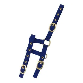 norton-equestrian-mini-adjustable-halfter