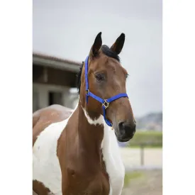 norton-equestrian-cabecada-nylon-double