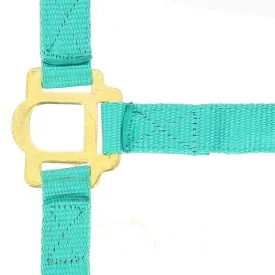 norton-equestrian-licol-nylon-double