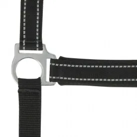 norton-equestrian-reflective-riimu