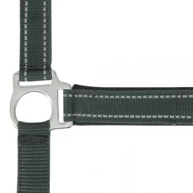 norton-equestrian-cabrestro-reflective
